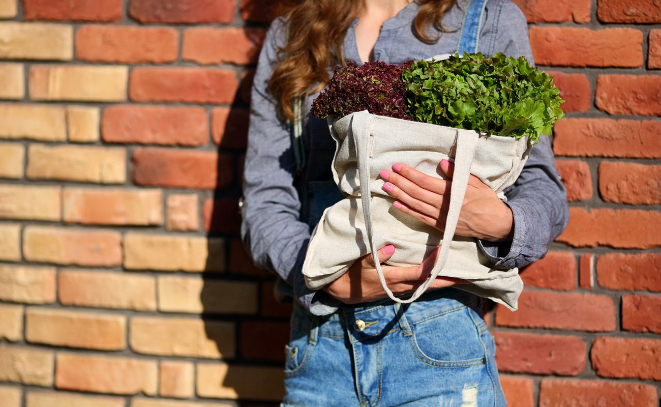 Consectetur aliquet